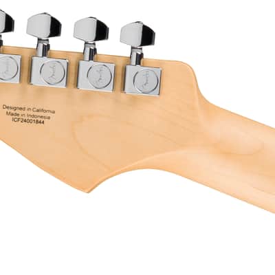 Fender : Standard Stratocaster HSS LRL BPG BLK image 5