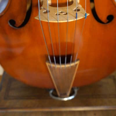 Viola da Gamba Helmut Buchsteiner 6 saitig 1977 - Varnish image 3