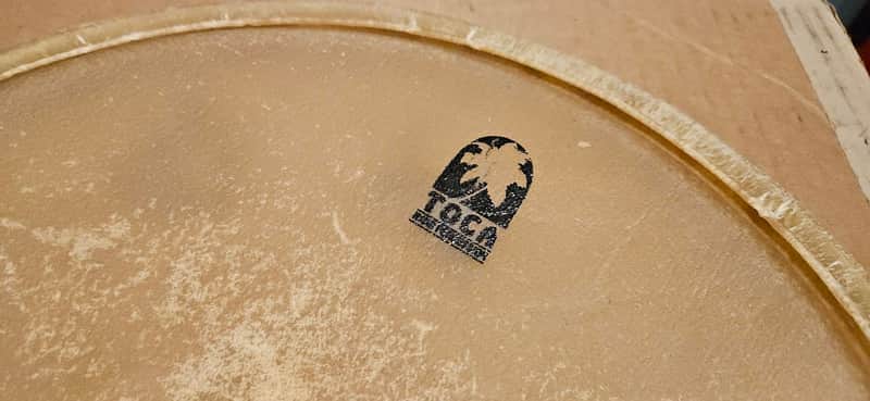 Toca Quinto Head - 11.5" image 1