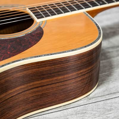 Zager ZAD-80 Acoustic Guitar w/Bag - USED image 6