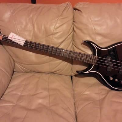 KISS-Gene Simmons Punisher Left Handed Very RARE image 2
