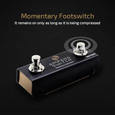 Dual Footswitch Pedal Momentary 2-Way Pedal Foot Switch Controller Ampero Switch 6.35 mm image 4