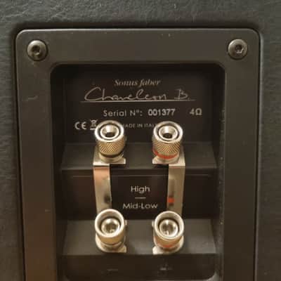 SONUS FABER Chameleon B 2015 - Black image 5