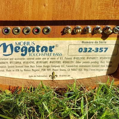 12 String Mobius Megatar, Excellent Condition With New Strings, Bag and Stereo Split Cable image 3