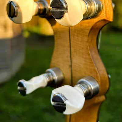 Vega Whyte Laydie Style R Tenor Banjo image 5