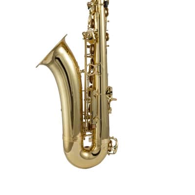 Prelude by Selmer PTS111 Student Tenor Saxophone Outfit (FIREWORKS26) image 2