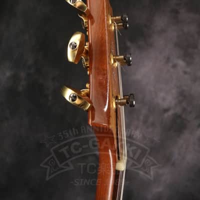 Paul Reed Smith Custom 24 Artist Package image 8