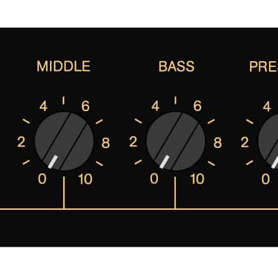 Lerxst R50 CHI Combo amp image 5