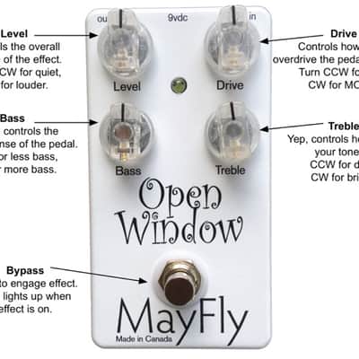 Mayfly Open Window (original artwork) image 2