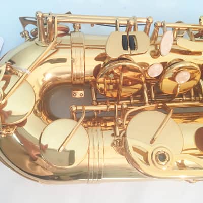 Musikwerks-Gold Lacquer Tenor Saxophone-Intermediate Level-New-w/Shop Warranty! image 4