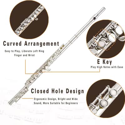 Closed Hole C Flute 16 Keys Nickel-Plated Flutes For Beginners Student Flute Instrument With Case Stand Gloves Tuning Rod (Silver) image 2