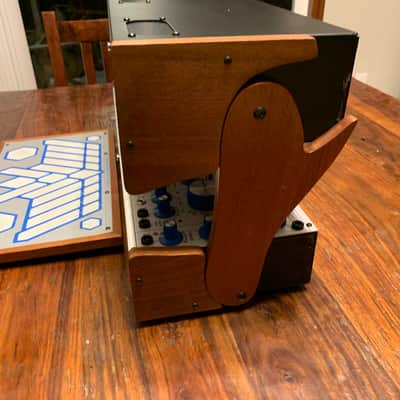 Buchla Skylab case 200e 200r Full System with Extra Modules and Cables image 10
