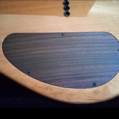 Kiesel CT6 24 w tons of pro upgrades w all new electronics image 10