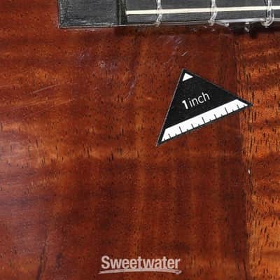 Kala 20th Anniversary All-solid Hawaiian Koa and Mahogany Concert Ukulele - Natural (KA20CHKAMd1) image 6