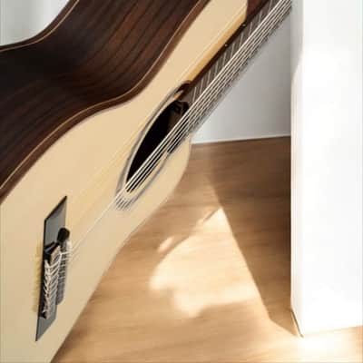 Ortega RCE158RW-8 Performer Series 8-String Classical Guitar â€“ Nylon Strings, Solid European Spruce, gloss finish Indonesian Rosewood, gloss finish, Cutaway, w/ Pickup image 12