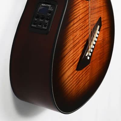 Agile 8 String MultiScale FanFret Acoustic Guitar Renaissance 82730 EQ TE Flame 8 String Acoustic image 3