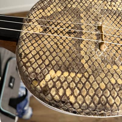 Mongolian Shanz/Shadruga (like Sanxian/Shamisen) – Fretless Folk Banjo image 10