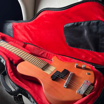 Island Instruments Beanstock Guitar image 17