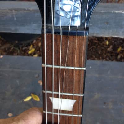 Agile AL-2500 Mother of toiletseat original horn and headstock image 6