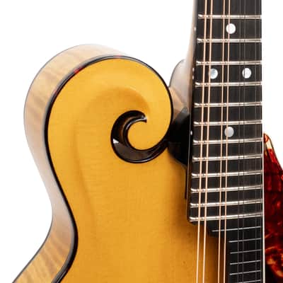 Gold Tone Grandmaster Elite Old Swiss/Italian Spruce Top 8-String Mandolin w/Hard Case image 6