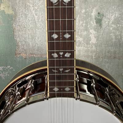 Recording King RK-R20 Songster Resonator Banjo image 5