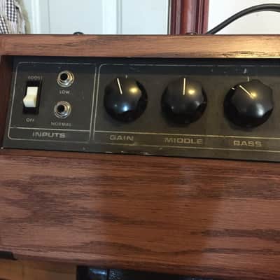 Traynor TS-50 Vintage Amplifier Head in Custom Cab image 3