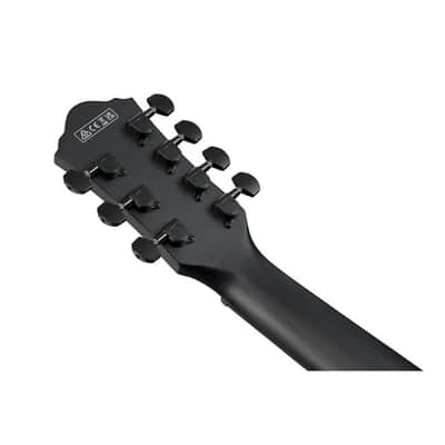Ibanez AEG721-BOT - Acoustic Guitar imagen 4