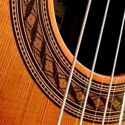 Benito Huipe Special Concert Guitar-Cedar/Exotic Bocote Master Grade image 15