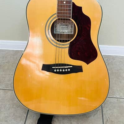 Ibanez SGT120 Sage Acoustic Guitar image 1