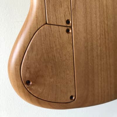 MTD USA 530-24  5-string short scale bass image 6