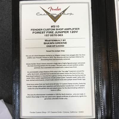 Fender Custom Shop Forest Fire Juniper '57 Champ Guitar Amplifier - Only One Built image 8