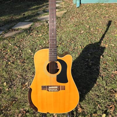 Washburn 12-string mid 90's - Rosewood & Spruce image 1