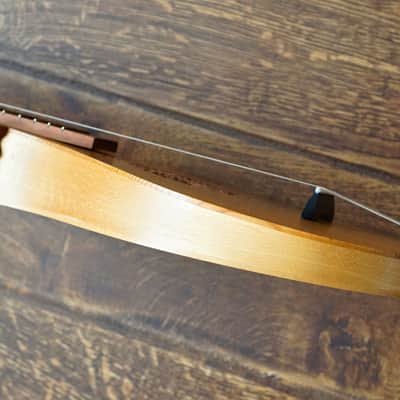 Renaissance Cittern image 10