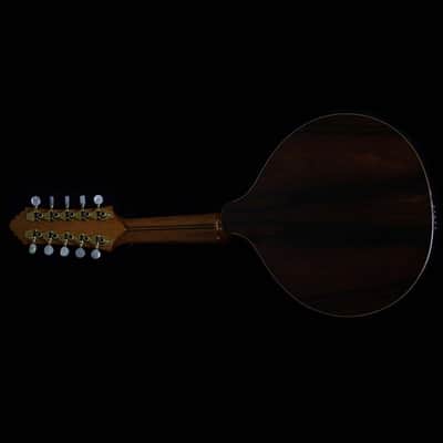 Antonio Huggler 10-String Mandolin | Brazil image 2