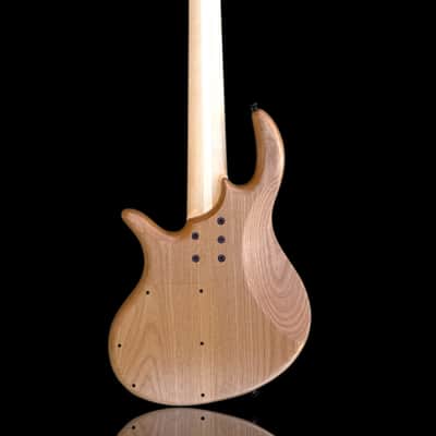 Elrick EVO Gold 5 String Purpleheart 2025 - Natural image 6