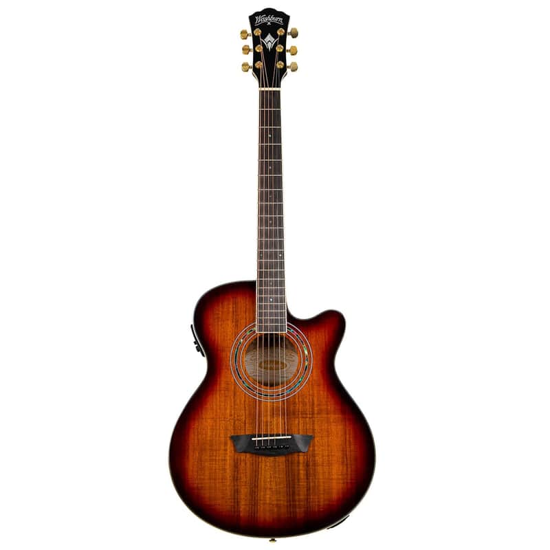 Washburn Festival EA55G image 1