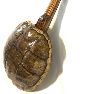 Turtle Shell Tenor Ukulele image 5