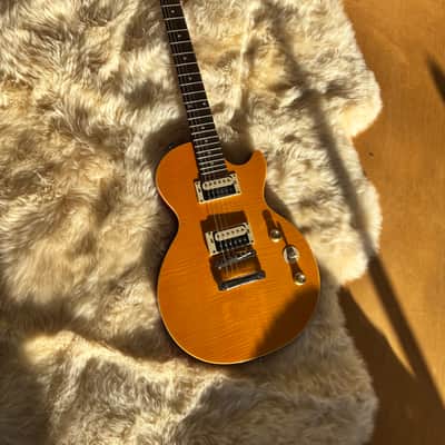 Epiphone Slash AFD Les Paul Special II image 1