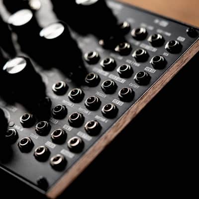 Moog Subharmonicon - Semi-modular Polyrhythmic Analogue Synthesizer image 11
