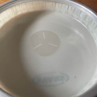 Evans EB97 7 1/4 2010’s  - synthetic drum head image 3