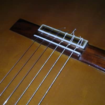 Jose Morales classical guitar image 6
