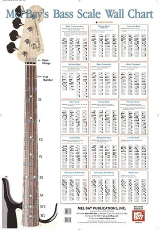 Bass Scale Wall Chart image 1