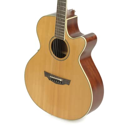 Parkwood Acoustic Owned by Greg Howe image 5