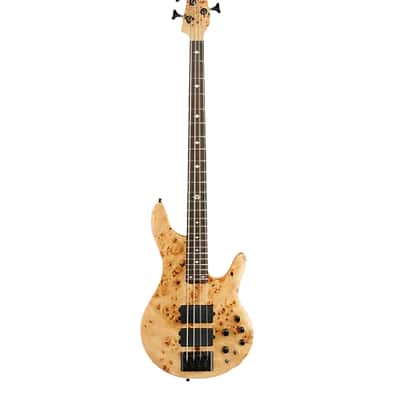 Michael Kelly Pinnacle 4