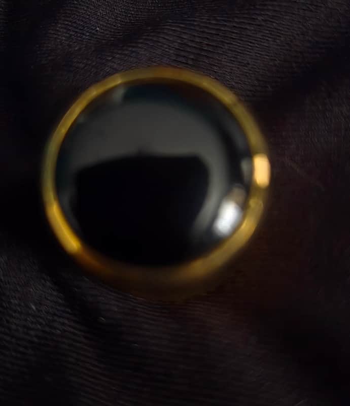 Gold and black tone knob with screw image 1