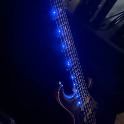 Alembic Signature Deluxe Mark 5 String Bass Guitar Cocobolo image 14