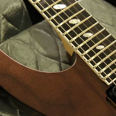 Caparison Dellinger II FX-WM  Natural image 8