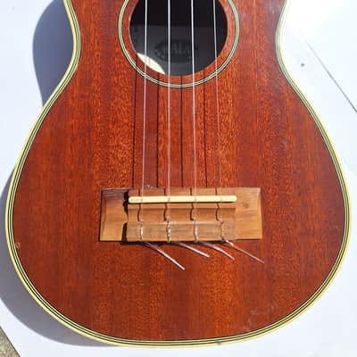 Kala KA-SLNG Long Neck Soprano Ukulele (Island Traveled / Great Sound/ Well-Loved) image 4