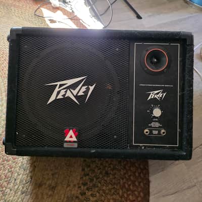 Peavey 112 M 2000 - Carpet image 2