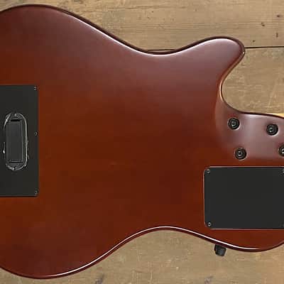 Godin A5 Ultra image 4